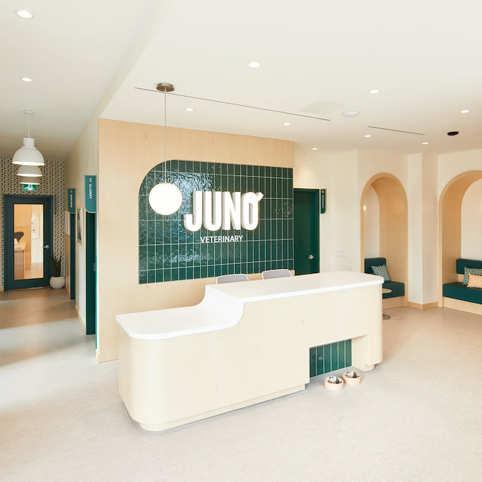 Juno Veterinary Bloor West in Toronto, ON
