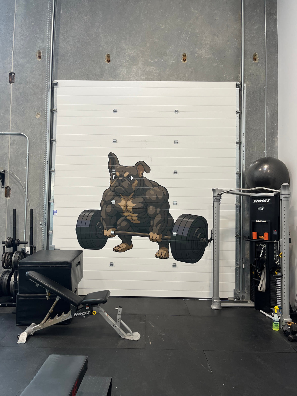 Custom Window Decals