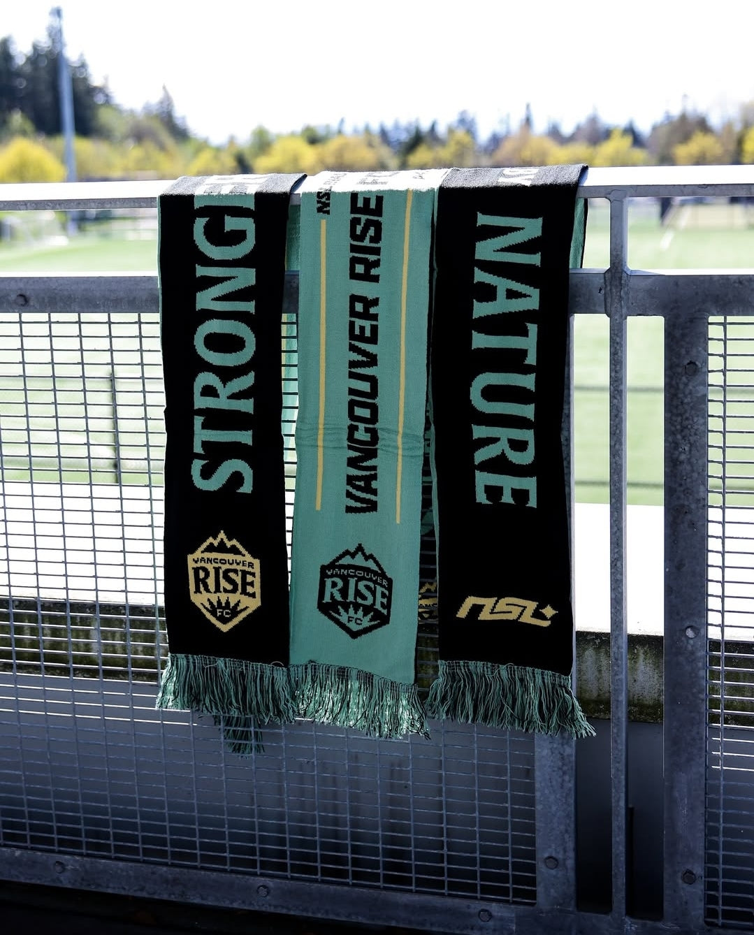 Custom Scarves