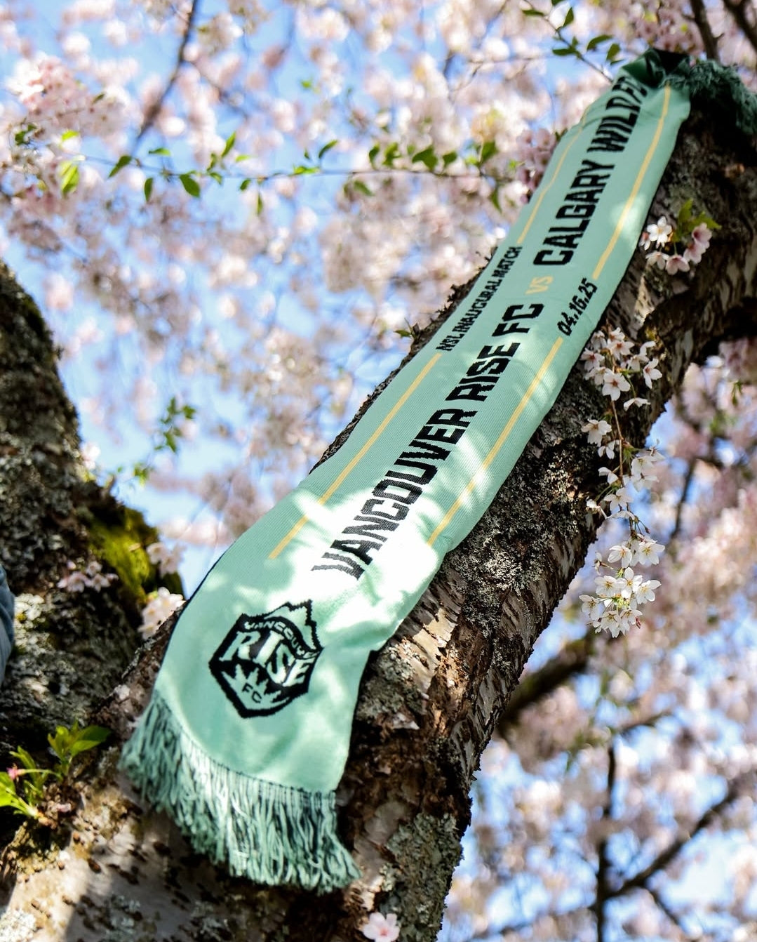 Custom Scarves