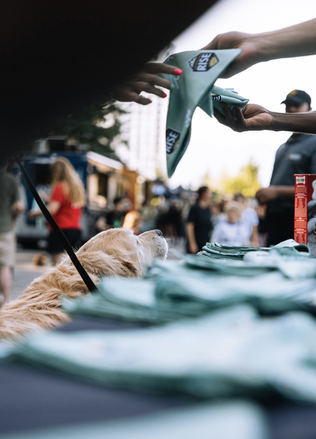 Custom Bandanas