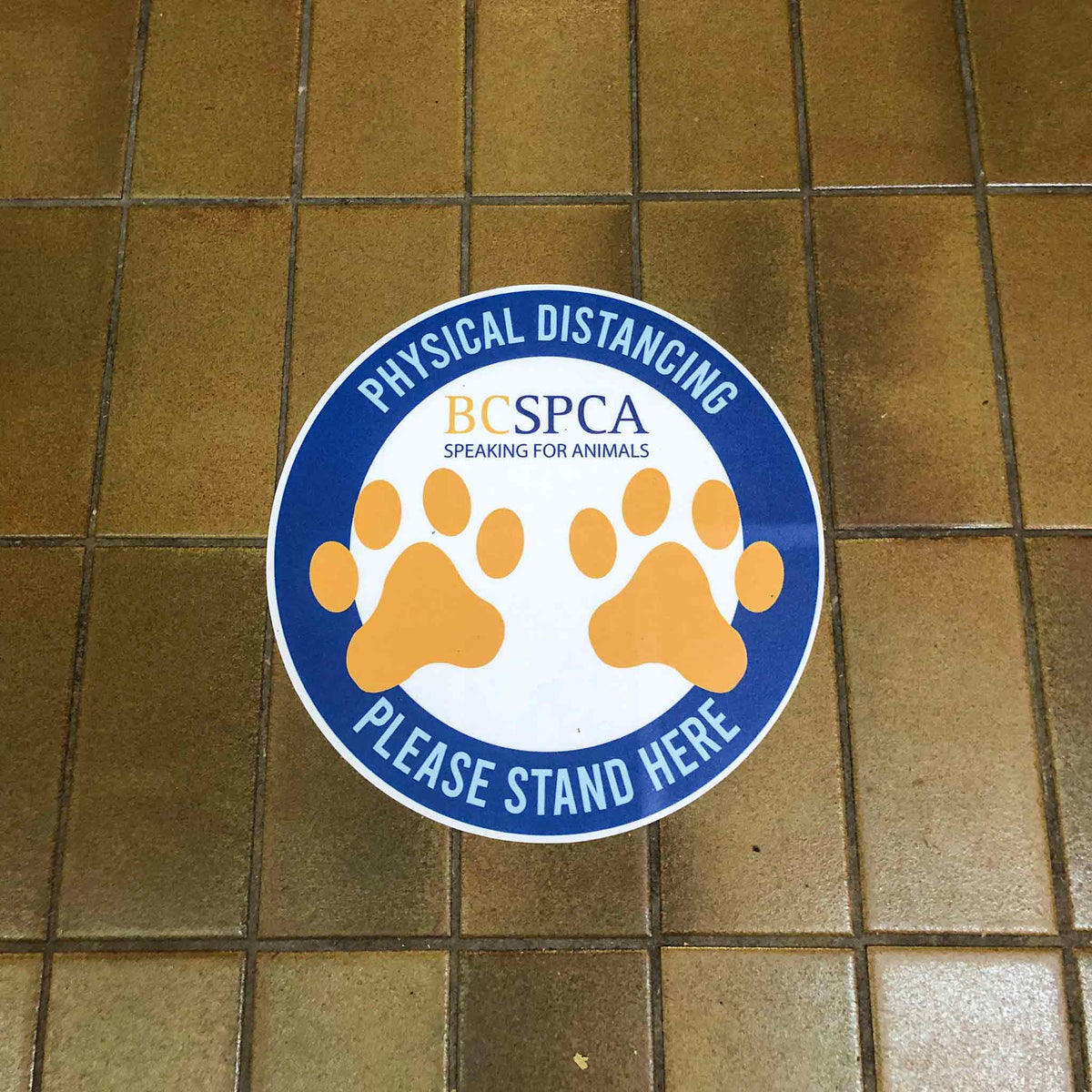 Floor Graphics