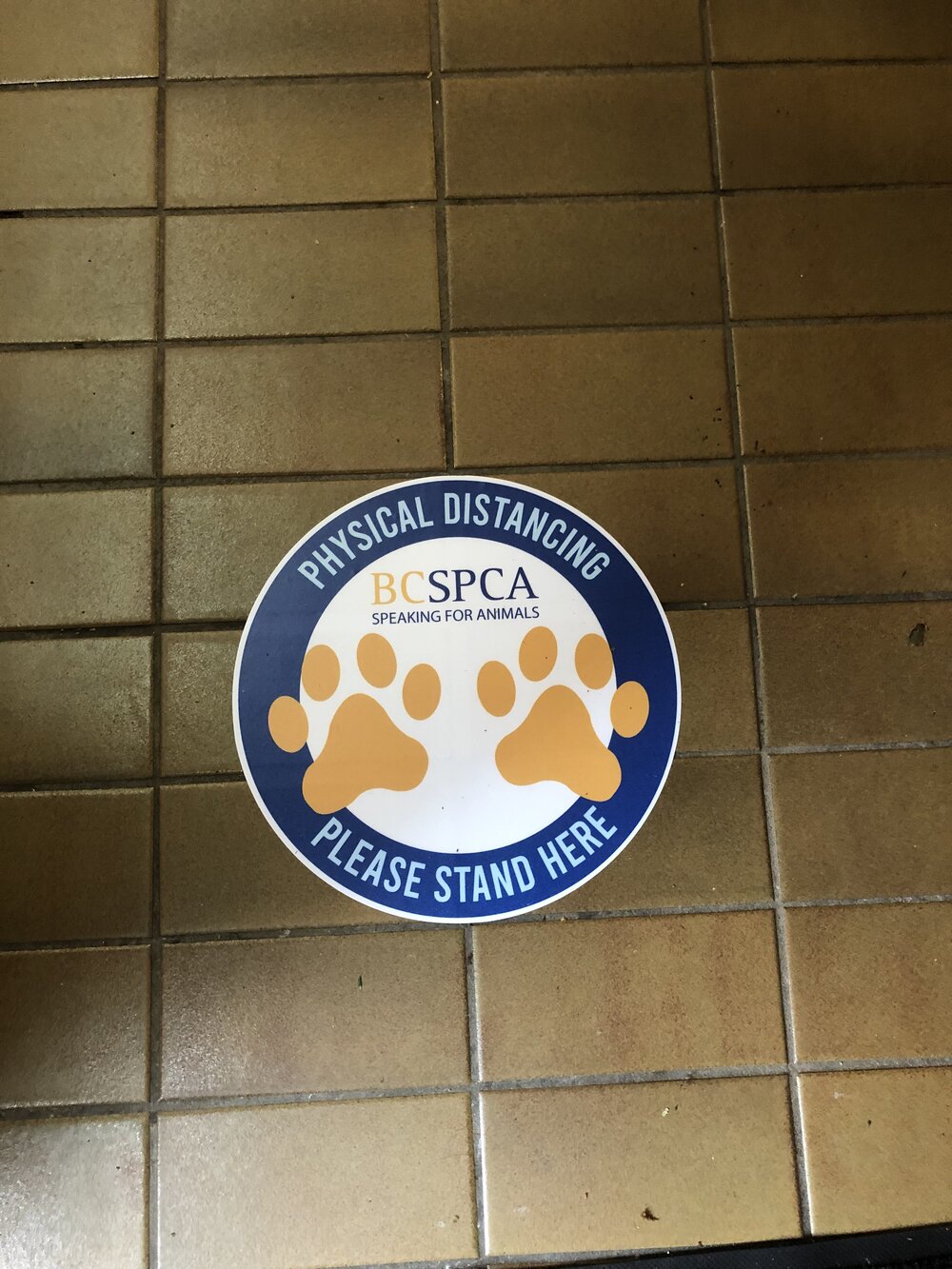 Custom floor decals for the BCSPCA designed, printed and installed by Blast Media Print