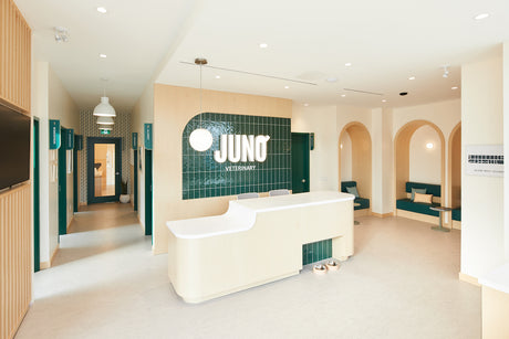 Juno Veterinary Bloor West in Toronto, ON