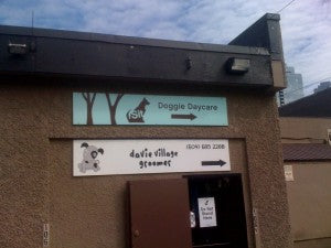 Davie Village Groomer gets NOTICED…
