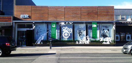 40ft LRG window display