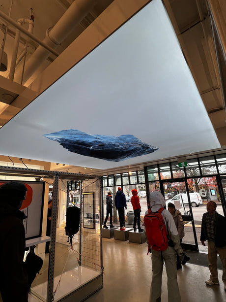 Arcteryx lightbox display