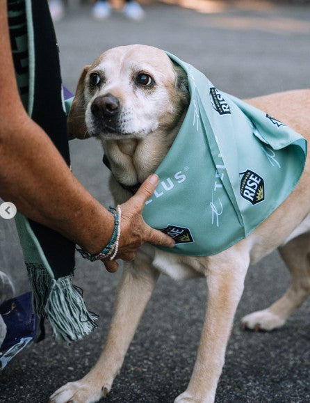 Custom Bandanas