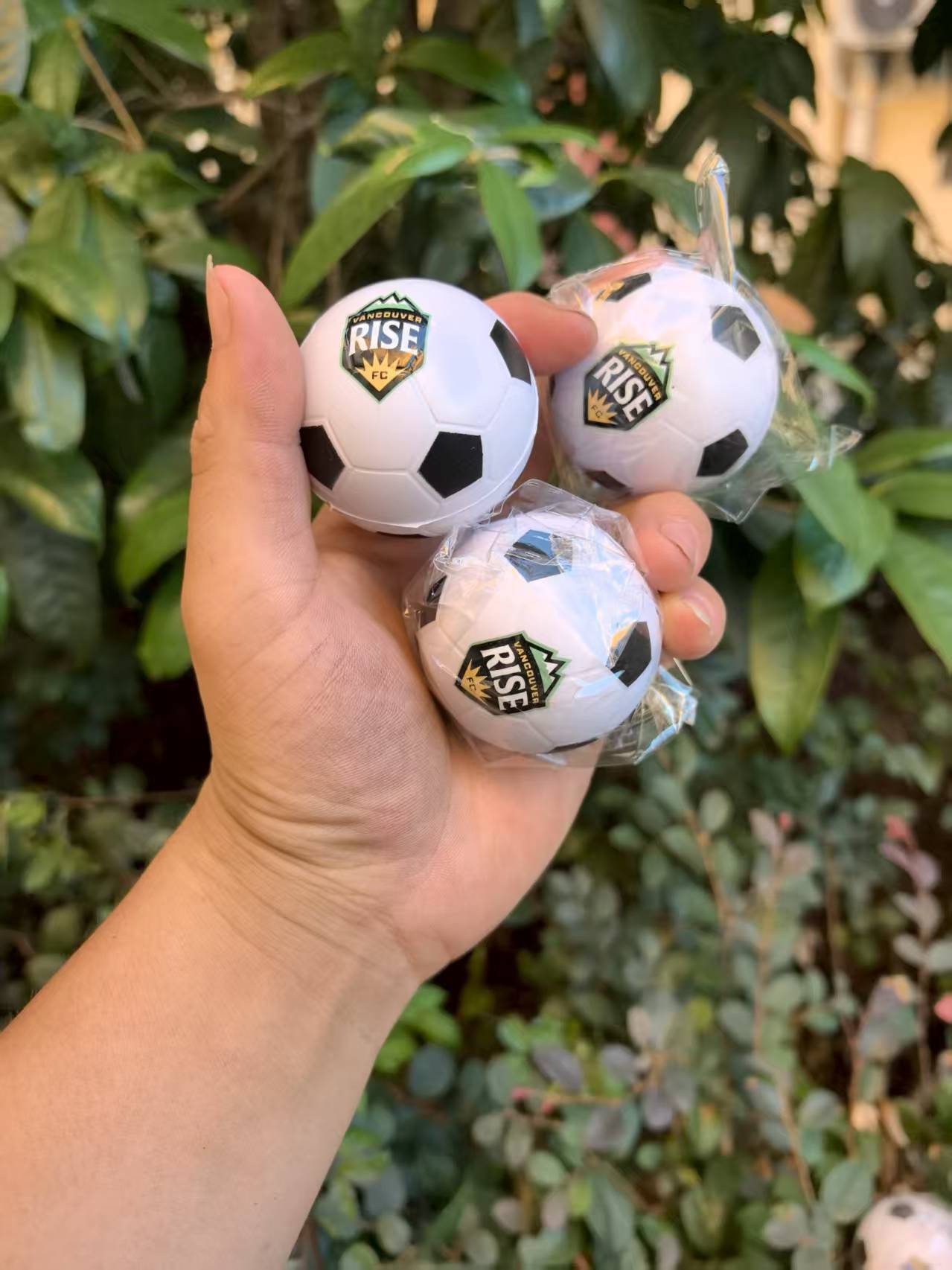 Custom Printed Stress Balls