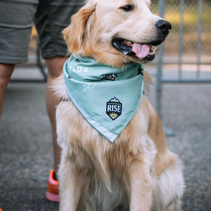Bandanas