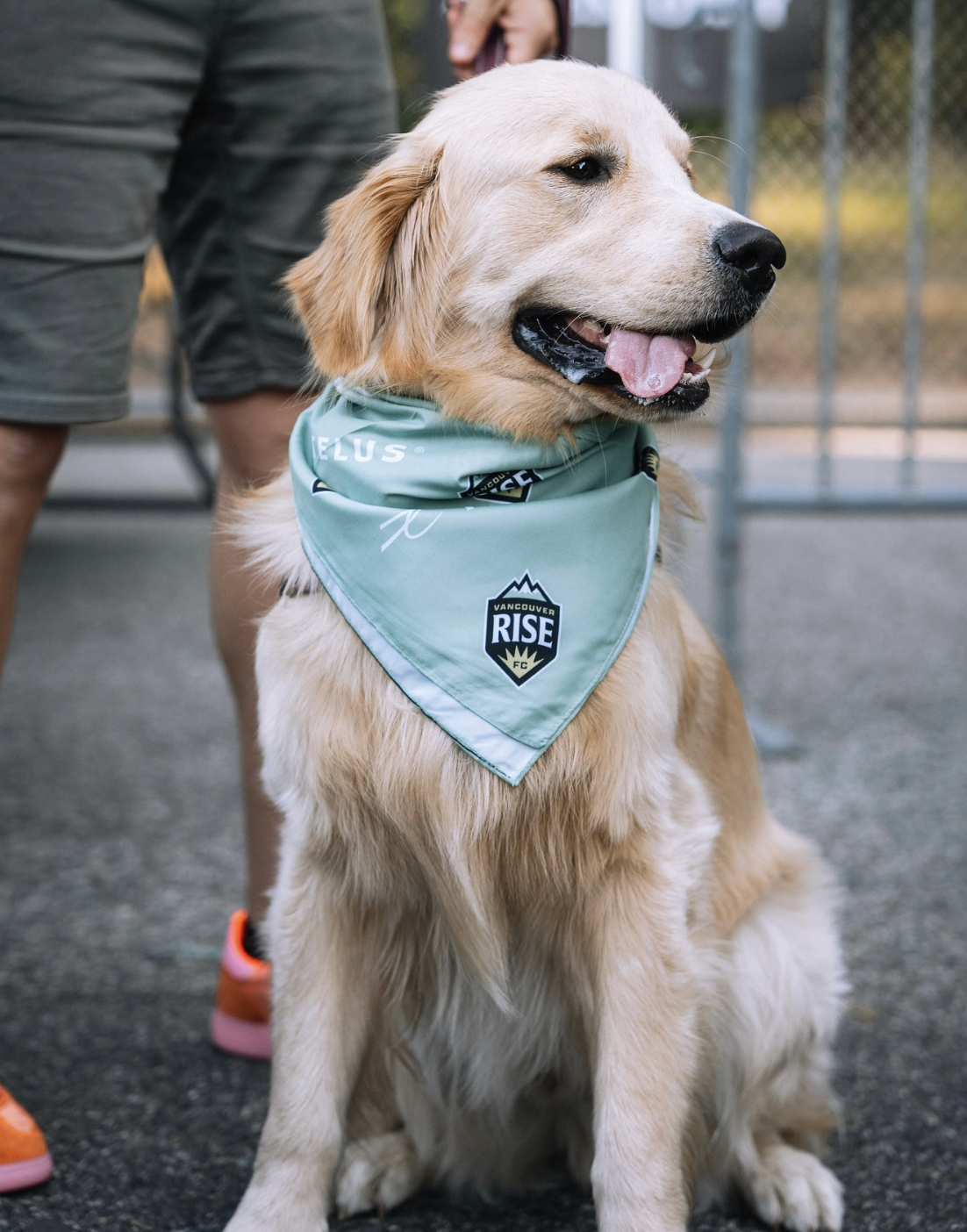 Custom Bandanas