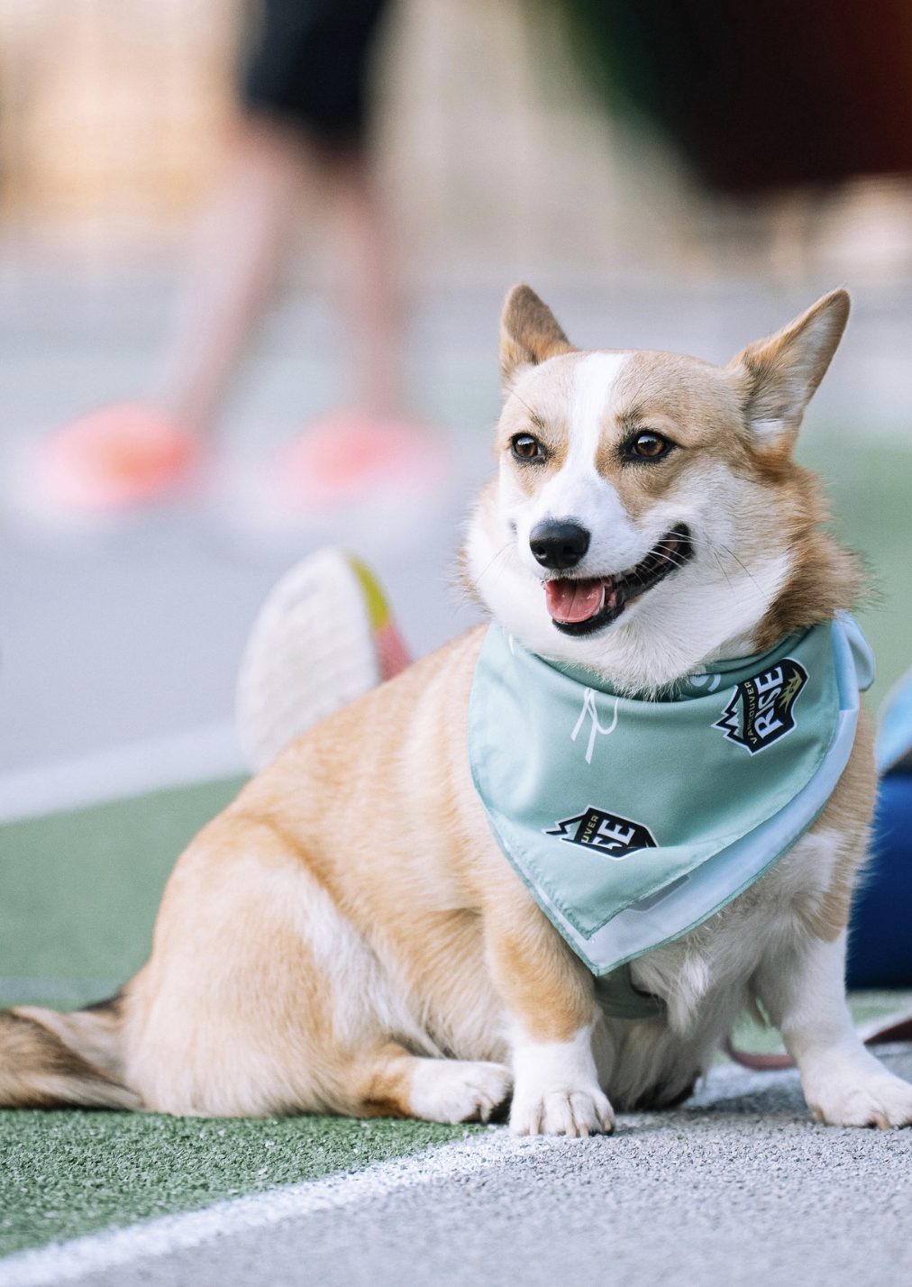 Custom Bandanas