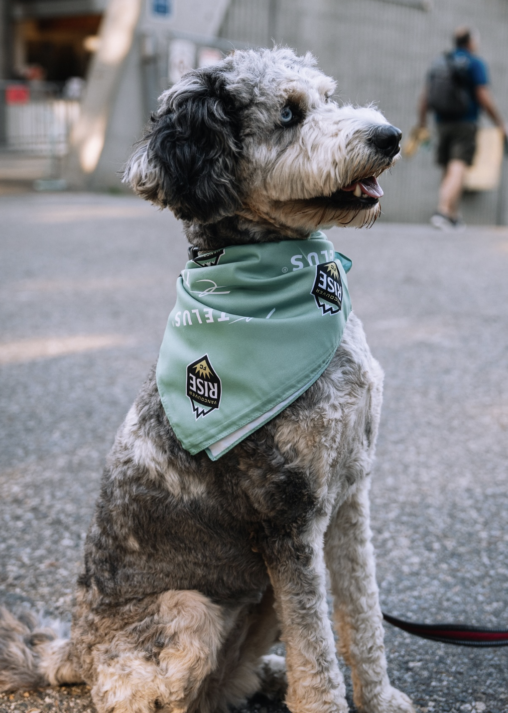 Custom Bandanas