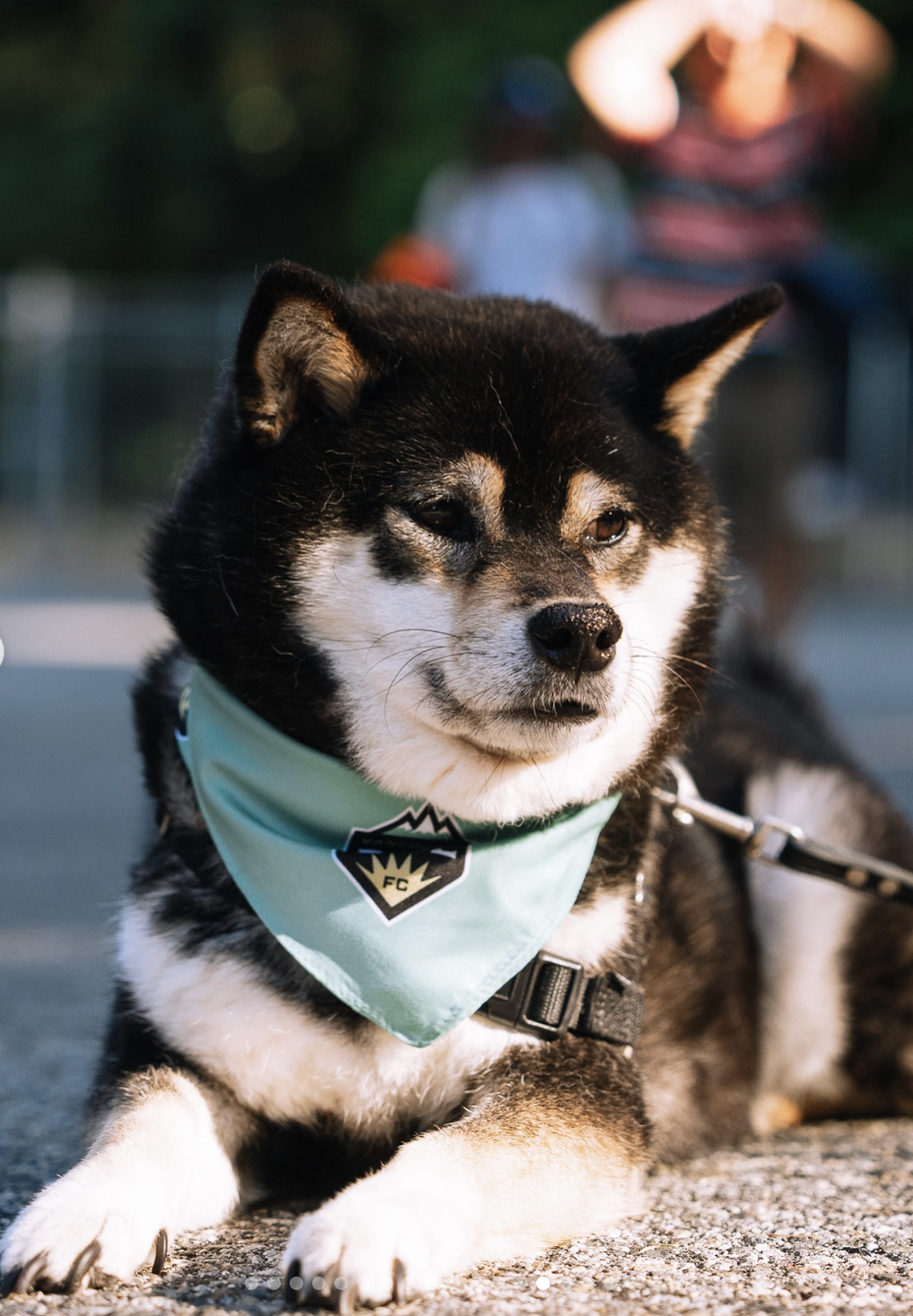 Custom Bandanas