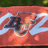 Mesh Banners