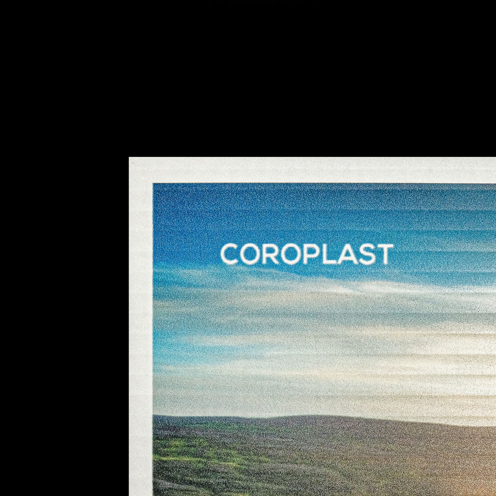 Coroplast Signs Toronto