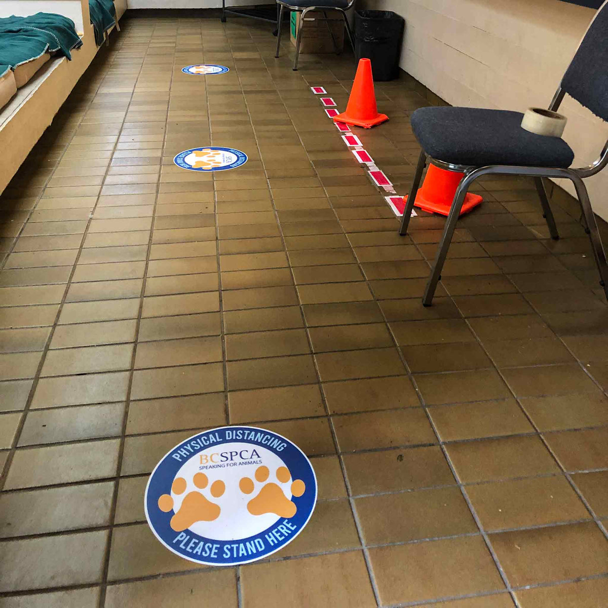 Floor Graphics