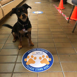Floor Graphics